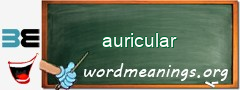 WordMeaning blackboard for auricular